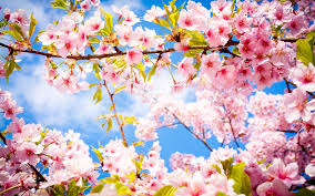 Un printemps pas comme les autres